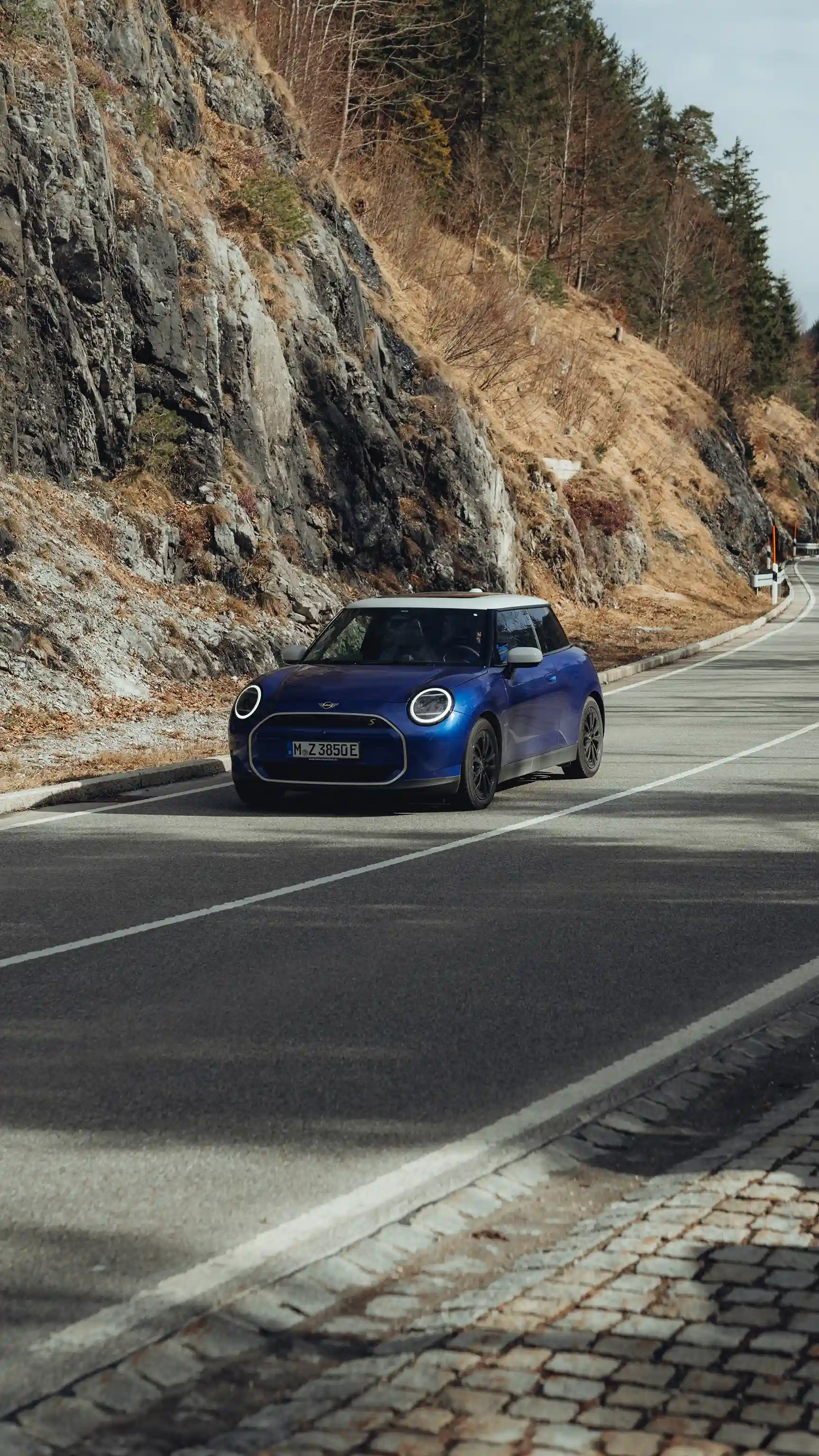 All-Electric MINI Cooper - Driving Assistance